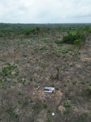 Most Sort After Affordable Farmland, Buy in Acres, Abeokuta South, Ogun, Mixed-use Land for Sale