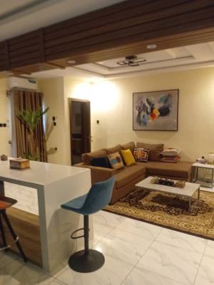 Luxury 2edroom Apartment, Ikate, Lekki, Lagos, Flat / Apartment for Rent