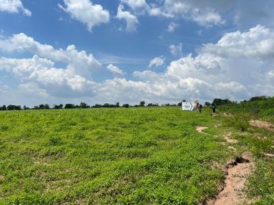 Plan Your Retirement with Annual Cash Flows From Agriculture, Own Land Plus Earn From Cocoa and Plaintain Farming , Ofuape Village, Abeokuta North, Ogun, Mixed-use Land for Sale