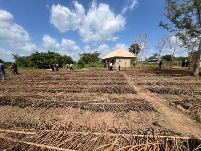 Affordable Hectare of Farmland Suitable for Oil Palm with No Extra Fee, Off Abeokuta- Imeko Express Way . Payment Plan Available, Imeko Afon, Ogun, Mixed-use Land for Sale