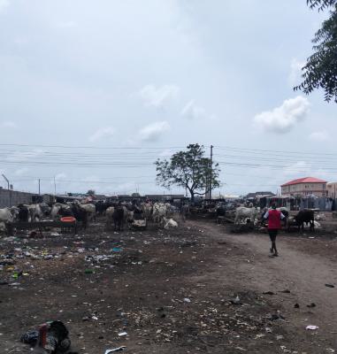 Commercial Land Facing a Major Road, Abraham Adesanya, Lekki Expressway, Lekki, Lagos, Commercial Land for Sale