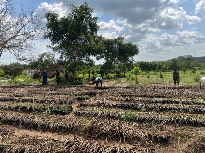 Most Affordable Farmland with No Hidden Extra Fees, Imeko Afon, Ogun, Mixed-use Land for Sale