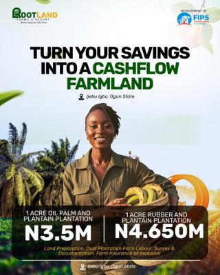 Palm Trees and Plantain Trees Farmland, Ijebu Igbo, Km 46, Ogun, Land for Sale