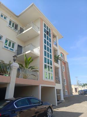 Spacious and Serviced 3 Bedroom Apartment with Bq Attached, Guzape District, Abuja, Flat / Apartment for Rent