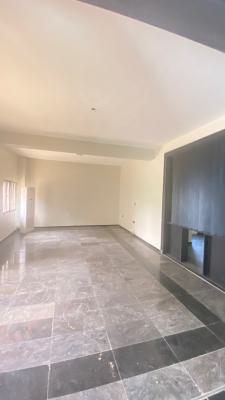 5bed Room Duplex, Maitama District, Abuja, Detached Duplex for Rent