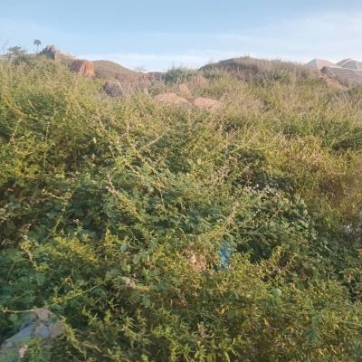 1 Hectares of Land, Katampe Extension, Katampe, Abuja, Residential Land for Sale
