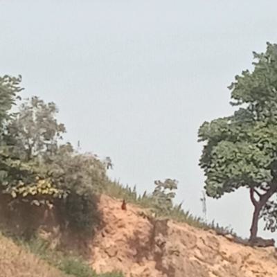 1.2 Hectares of Land, Lugbe District, Abuja, Mixed-use Land for Sale