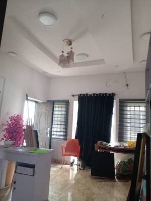 a Luxury Mini Flat with Excel, Off Badore Estate, Badore, Ajah, Lagos, Mini Flat (room and Parlour) for Rent