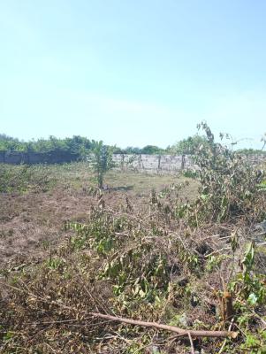 Distress: Land Measuring 2 Plots, Ajayi Apata Estate, Sangotedo, Ajah, Lagos, Residential Land for Sale
