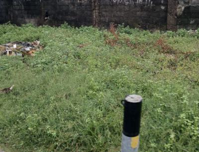 505 Sqm of Bareland, Lekki Phase 1, Lekki, Lagos, Land for Sale