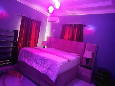 a Bedroom Apartment, Tollgate Chevron, Ikota, Lekki, Lagos, Self Contain (single Rooms) for Rent