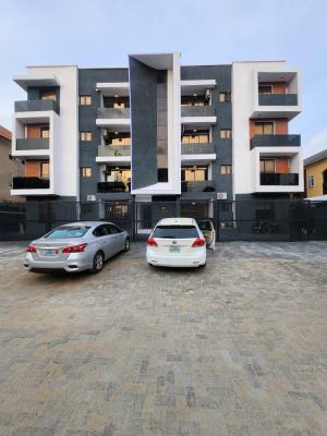 Unfurnished 2 Bedroom Apartment, Ikate, Lekki, Lagos, Flat / Apartment for Rent