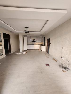 Unfurnished 2 Bedroom Apartment, Ikate, Lekki, Lagos, Flat / Apartment for Rent