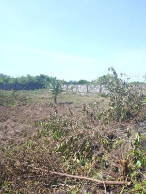2 Plots of Land Fenced and Gated Measuring 1200sqm, Ajayi Apata Estate, Sangotedo, Ajah, Lagos, Residential Land for Sale