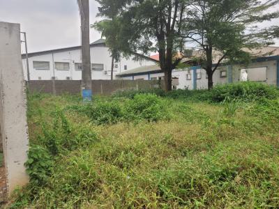 2009 Sqmtrs of Mixed-use Land, Lateef Jakande Road, Ikeja, Lagos, Mixed-use Land for Sale