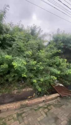 Chevron Fenced Bareland, Chevron, Lekki, Lagos, Residential Land for Sale