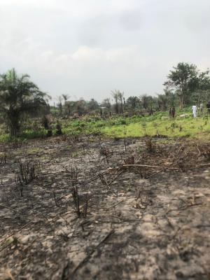 50 Virgin Mixed Use Plots, Monastery Rd, Sangotedo, Ajah, Lagos, Mixed-use Land for Sale