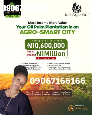 Plam Oil Is The New Gold!! Own an Oil Plantation Without The Street., 30-50 Years Earnings on Roi @ Ilu-aseyori, Ewekoro, Ogun, Mixed-use Land for Sale