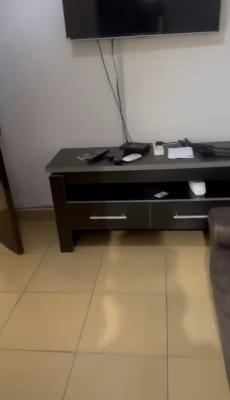 Tastefully Furnished 2bedroom Apartment, Off Idowu Martins, Victoria Island (vi), Lagos, Flat / Apartment for Rent