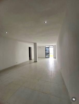 Spacious 2 Bedroom Apartment, Ikate, Lekki, Lekki, Lagos, Flat / Apartment for Rent