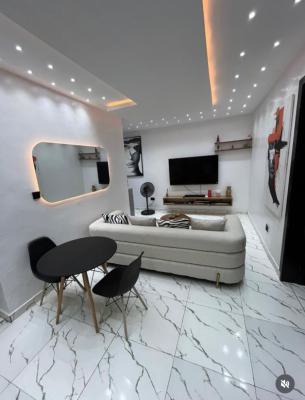 Furnished 2 Bedroom Apartment with Inverter System, Ologolo, Lekki, Lekki, Lagos, Flat / Apartment for Rent