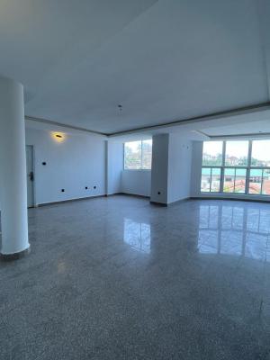 Immaculately Clean, Spacious and Serviced 3 Bedroom, Asokoro District, Abuja, Flat / Apartment for Rent