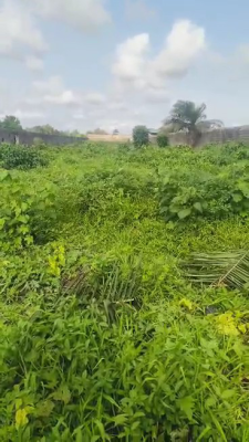 Distress One and Half Plot of Dry Land, Developing Area, Opic, Isheri North, Lagos, Residential Land for Sale