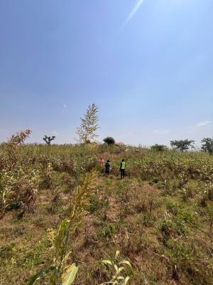 4 Hectares of Land, Fort Royale Estate, Airport Axis, Kyami, Abuja, Residential Land for Sale