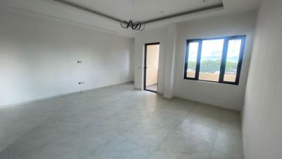 Brand New 2 and 3 Bedroom Apartment, Victoria Island (vi), Lagos, Flat / Apartment for Rent