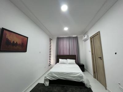 Luxurious 2 Bedroom Executive Apartment, Keffi Street, Ikoyi, Lagos, Flat / Apartment Short Let