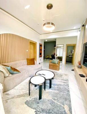 Luxurious and Tastefully Furnished 1 Bedroom Apartment with Elevator, Lekki Phase 1, Lekki, Lagos, Mini Flat (room and Parlour) for Rent