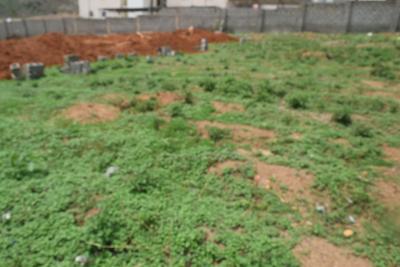 6 Units 180sqm Estate Residential Plot, Maitama 2, Maitama District, Abuja, Residential Land for Sale