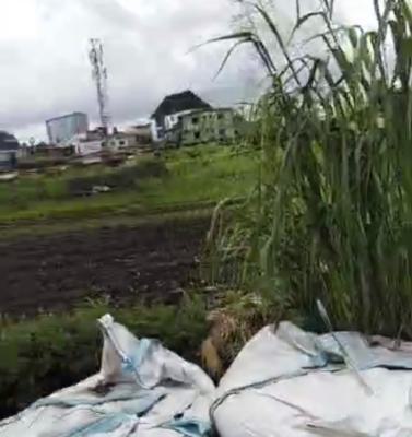 One Acre in Prime Area, Maryland, Lagos, Mixed-use Land for Sale