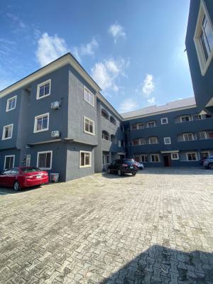 Spacious 2 Bedroom Apartment, Ikate, Lekki, Lagos, Flat / Apartment for Rent