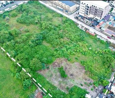 30 Hectares of Land Suitable for Massive Development (direct 2 Mandate), Sangotedo, Ajah, Lagos, Land for Sale