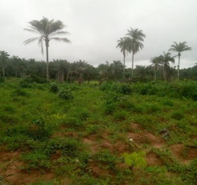 Cheap / Affordable Lands (best Deals), Akpaa Ovum Ogbor Hills, Aba, Abia, Mixed-use Land for Sale
