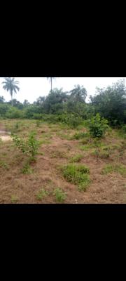 Lands with Good Title in an Already Habitable Environment, Elepete, Ibeju Lekki, Lagos, Mixed-use Land for Sale