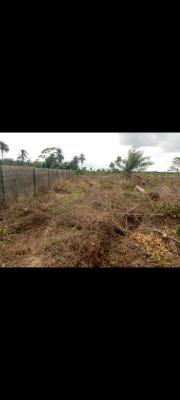 Land with Allocation and Verifiable Documents, Ilara, Epe, Lagos, Mixed-use Land for Sale
