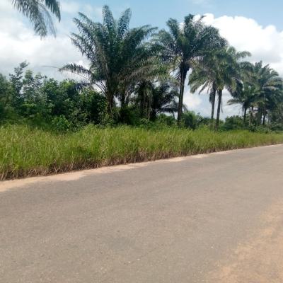 Land with C of O, Obowo, Imo, Mixed-use Land for Sale