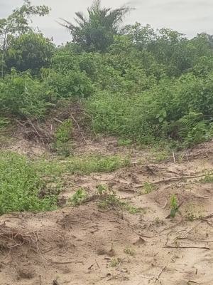 100 Hectares of Land Along Monastery Road Sangotedo Lekki, Monastery Road Sangotedo, Sangotedo, Ajah, Lagos, Mixed-use Land for Sale