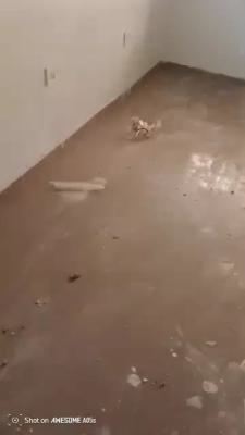 Newly Renovated 1 Bedroom Flat, Area 11, Garki, Abuja, Mini Flat (room and Parlour) for Rent