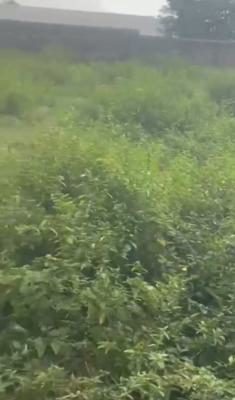 2,445sqm of Land, Katampe (main), Katampe, Abuja, Mixed-use Land Joint Venture