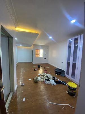 Well Standard and Nice 1bedroom Apartment, Lekki Phase 1, Lekki, Lagos, Mini Flat (room and Parlour) for Rent