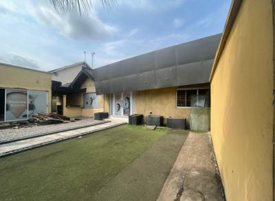 Premium Commercial Bungalow Off Admiralty Way, Off Admiralty Way, Lekki Phase 1, Lekki, Lagos, Detached Bungalow for Rent
