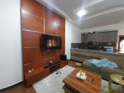 Partly Furnished and Serviced 1 Bedroom Apartment  (ensuite), Katampe Extension, Katampe, Abuja, Flat / Apartment for Rent