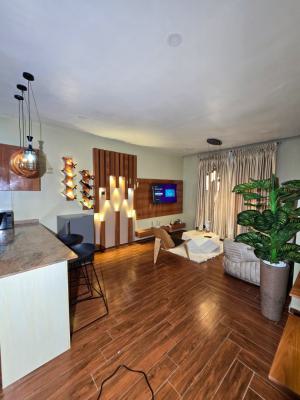 Luxury 1 Bedroom Apartment, Ikate, Lekki, Lagos, Mini Flat (room and Parlour) Short Let