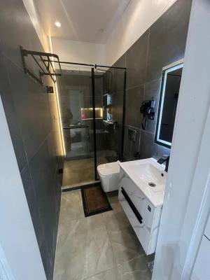 Well Furnished 3 Bedroom Terrace, Ikota, Ikota, Lekki, Lagos, Terraced Duplex for Rent