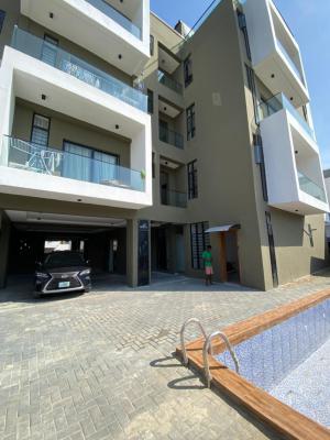 Furnished Executive Studio Apartment with Elevator and Fantastic Facil, Villa, Ikota, Lekki, Lagos, Flat / Apartment for Sale