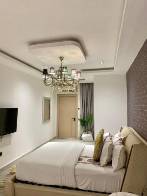 Luxury Furnished Color Themed 3 Bedroom Terrace, Old Ikoyi, Ikoyi, Lagos, Flat / Apartment Short Let