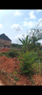 1048 Square Meters of Residential Land, Jahi, Abuja, Residential Land for Sale